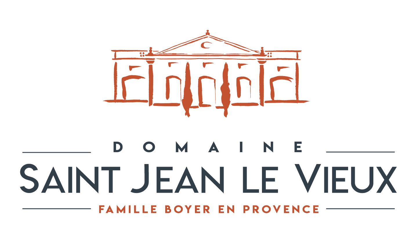 Domaine Saint Jean Le Vieux logo